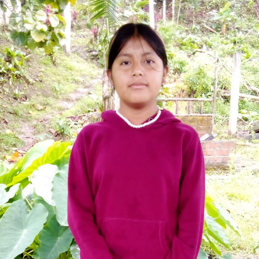 YANUA KUASH