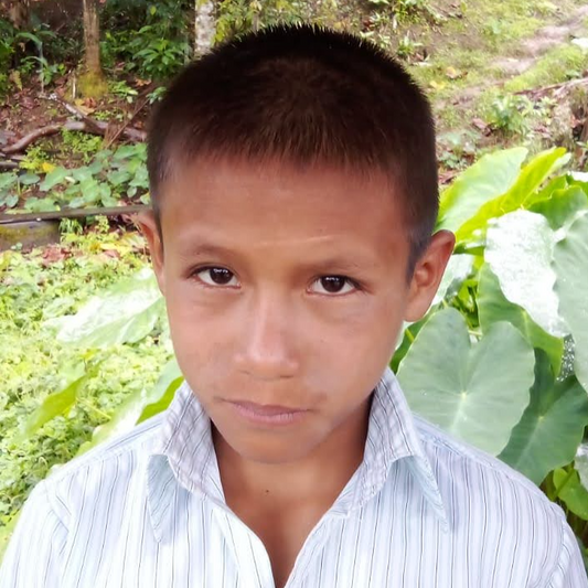 ERICK KAYAP